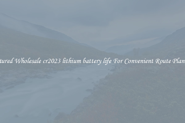 Featured Wholesale cr2023 lithium battery life For Convenient Route Planning