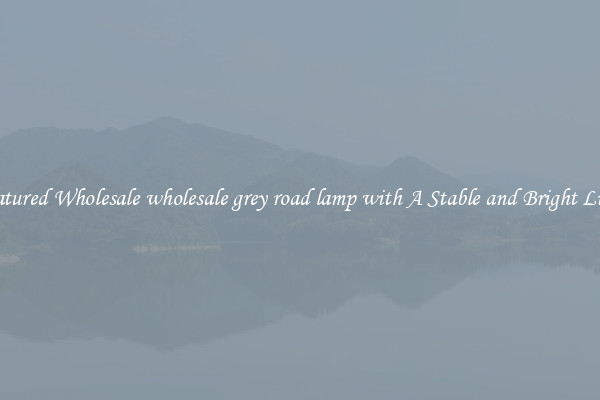 Featured Wholesale wholesale grey road lamp with A Stable and Bright Light