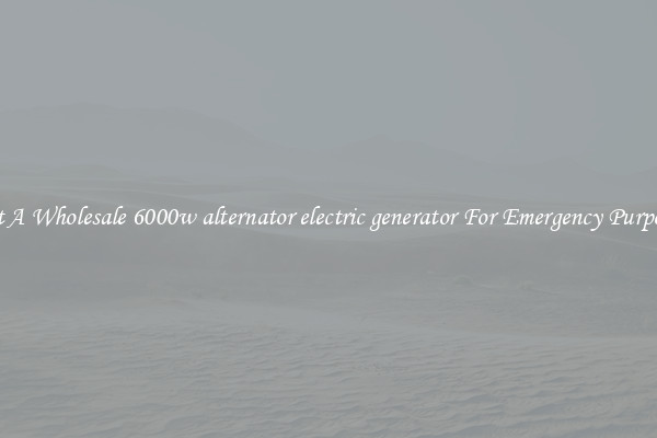 Get A Wholesale 6000w alternator electric generator For Emergency Purposes