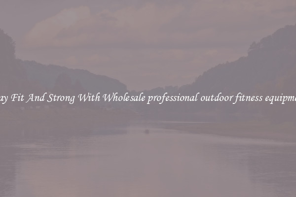 Stay Fit And Strong With Wholesale professional outdoor fitness equipment