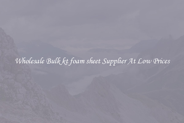 Wholesale Bulk kt foam sheet Supplier At Low Prices