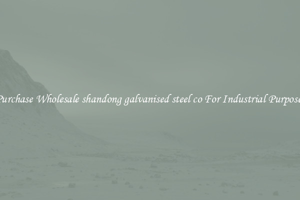 Purchase Wholesale shandong galvanised steel co For Industrial Purposes