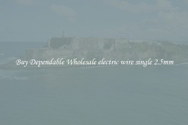 Buy Dependable Wholesale electric wire single 2.5mm
