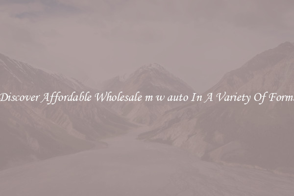 Discover Affordable Wholesale m w auto In A Variety Of Forms