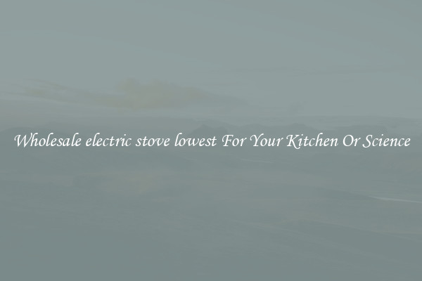 Wholesale electric stove lowest For Your Kitchen Or Science