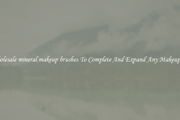 Wholesale mineral makeup brushes To Complete And Expand Any Makeup Set