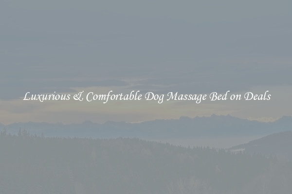 Luxurious & Comfortable Dog Massage Bed on Deals