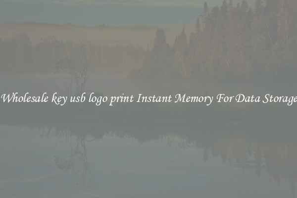 Wholesale key usb logo print Instant Memory For Data Storage