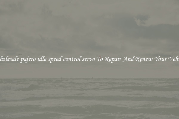 Wholesale pajero idle speed control servo To Repair And Renew Your Vehicle