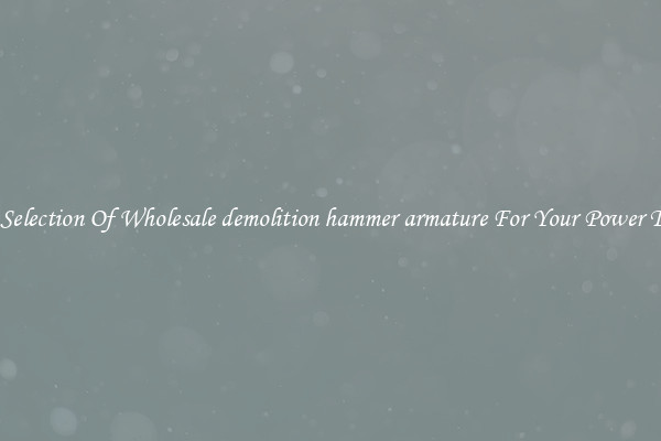 Wide Selection Of Wholesale demolition hammer armature For Your Power Toolkit