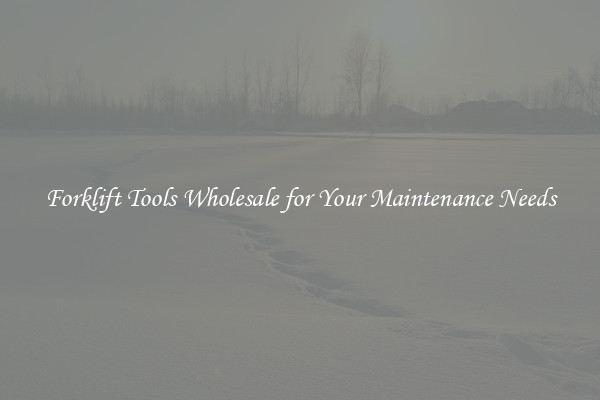 Forklift Tools Wholesale for Your Maintenance Needs