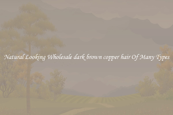 Natural Looking Wholesale dark brown copper hair Of Many Types