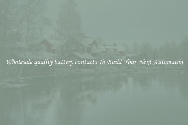 Wholesale quality battery contacts To Build Your Next Automaton