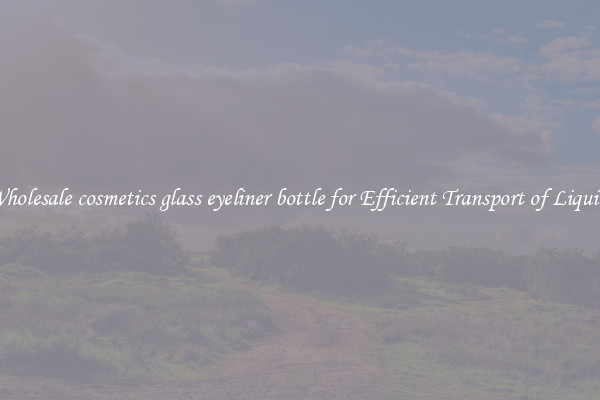 Wholesale cosmetics glass eyeliner bottle for Efficient Transport of Liquids