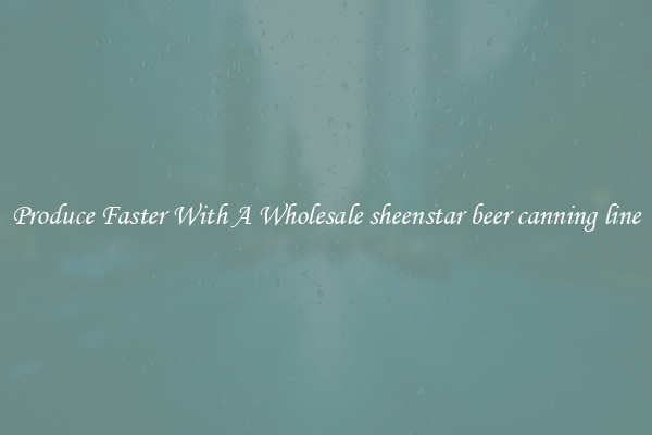 Produce Faster With A Wholesale sheenstar beer canning line