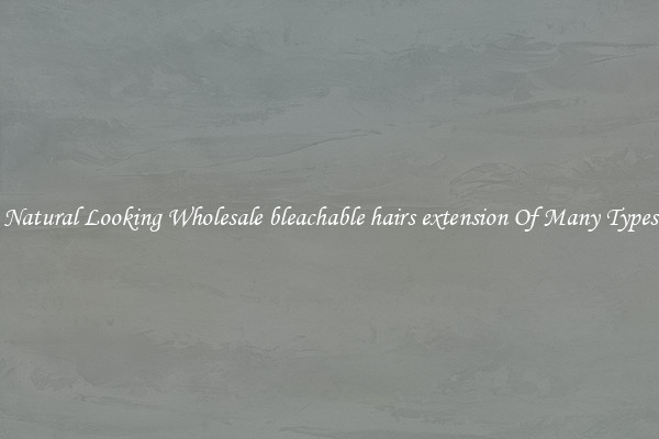 Natural Looking Wholesale bleachable hairs extension Of Many Types