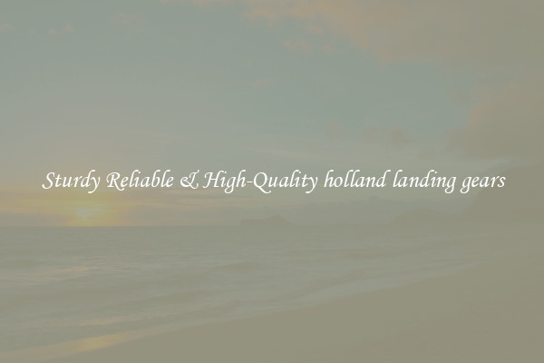 Sturdy Reliable & High-Quality holland landing gears