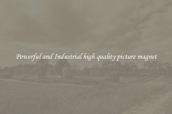 Powerful and Industrial high quality picture magnet