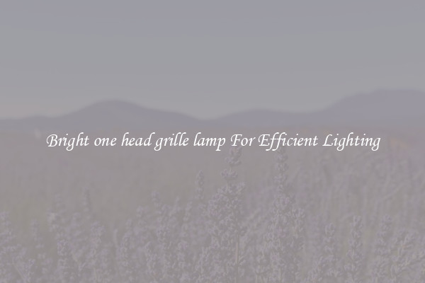 Bright one head grille lamp For Efficient Lighting